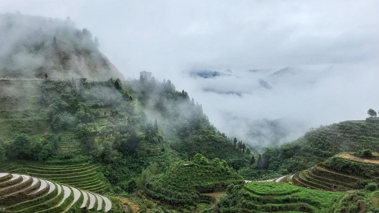 Longji Rice Terraces Green View Guesthouse Longsheng Zewnętrze zdjęcie
