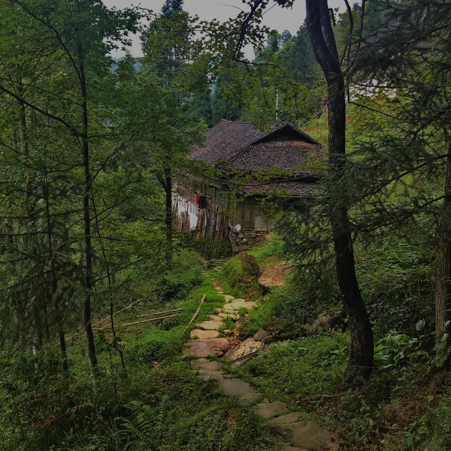 Longji Rice Terraces Green View Guesthouse Longsheng Zewnętrze zdjęcie